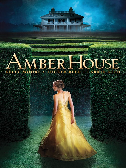 Title details for Amber House by Kelly Moore - Wait list
